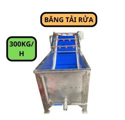 Noi dung doan van ban cua ban 3 2 e1779249953663